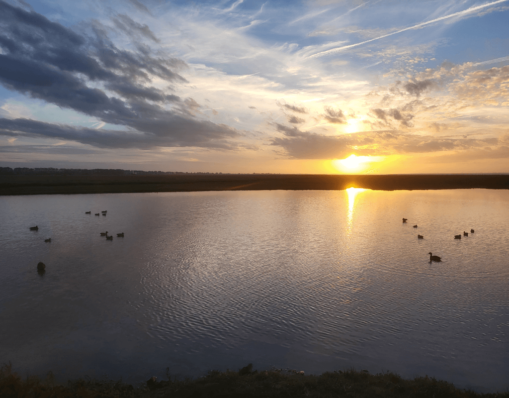 Acgeiv Association De Chasse Roz Sur Couesnon Footer Photos 6